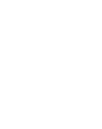 BC+Traumfirma+2012-2019+weissNEU.jpg